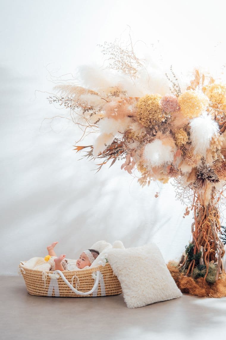 バースデー・誕生日の撮影：愛知県半田市ルリエフォトスタジオ