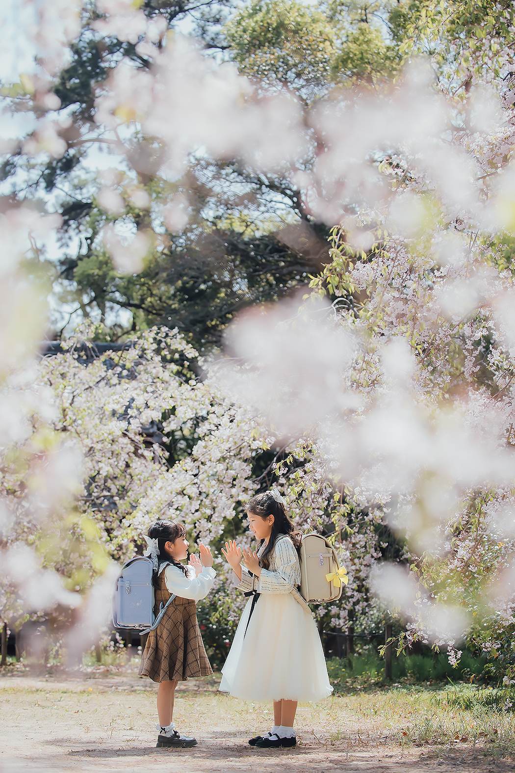 さくら　桜フォト 記念写真 
